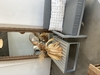 Mesa andes baja aluminio PAMPA LIVING - Casas y Jardines