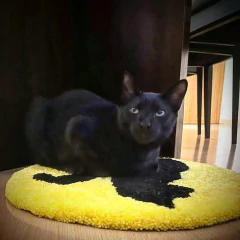 Alfombra Gato Negro - comprar online