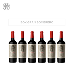 BOX GRAN SOMBRERO (CAJA 6 BOTELLAS). - comprar online