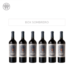 BOX SOMBRERO BLACK (CAJA 6 BOTELLAS). - comprar online