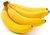 Banana producción ecológica