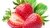 Frutilla agroecológica congelada