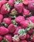 Frutilla agroecológica congelada - comprar online
