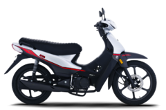 ZB 110 RT FULL - comprar online