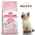 ROYAL CANIN MOTHER AND BABY CAT