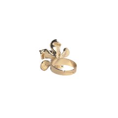 Anillo Art. 76077-43 en internet