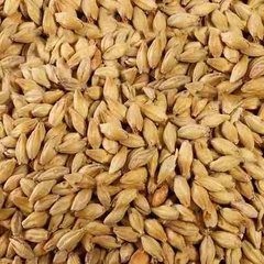 Malta Base Pale Ale Sin Moler Bolsa 25 Kg Cerveza Artesanal - comprar online