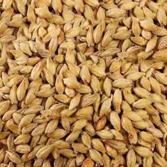 Malta Base Pilsen Molida X Bolsa 25 Kg - Cerveza Artesanal - comprar online