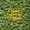 Lupulo Citra X 20 Grs 13,7 Aa - Cerveza Artesanal
