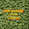 Lúpulo Kent Golding X 100 Grs - Cerveza Artesanal