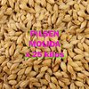 Malta Base Pilsen Molida X Bolsa 25 Kg - Cerveza Artesanal
