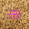 Malta Base Pilsen Sin Moler Bolsa 25 Kg - Cerveza Artesanal