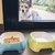 GLAM Light Blue - tienda online