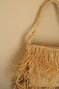 Cartera Nayarit en internet