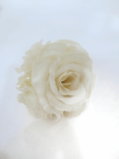 Bocha de rosas crema 10cm