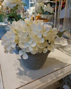 Maceta con Hortencias blancas - comprar online