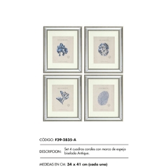 Setx4 cuadros espejados corales