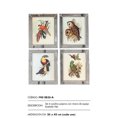 Setx4 cuadros pajaros espejado