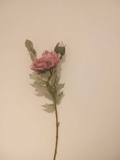 Vara Peonia en internet