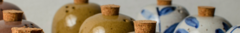 Banner de la categoría Saleros