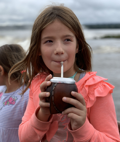 Mate Boca Cerrada Marrón en internet