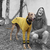 Cacharel Shirt long sleeve for large Grayhound GP Pet Wear
