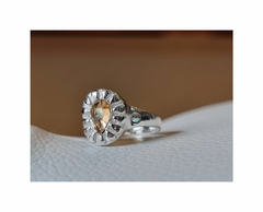 Anillo en internet