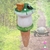 Sapinho, irrigador, pedra d'água, regador, vasos, planta, orquideaterapia. waterstone, waterring plant spike, Orquideaterapia, vasos orquideaterapia