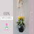 Suporte De Vaso Macramê Plant Hanger Suporte Plantas - Ref. SC - comprar online