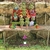 Sapinho, irrigador, pedra d'água, regador, vasos, planta, orquideaterapia. waterstone, waterring plant spike, Orquideaterapia, vasos orquideaterapia