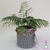 Cachepô em Fio De Malha - Decor Plantas Flores Orquídeas