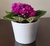 Vaso Cachepô Cerâmica Branco D12 A9 Decora Flores Orquídeas - loja online