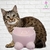 Comedouro em Forma de Gato Porcelana Azul  Pet Comedouro cachorro cão