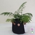 Cachepô em Fio De Malha - Decor Plantas Flores Orquídeas na internet