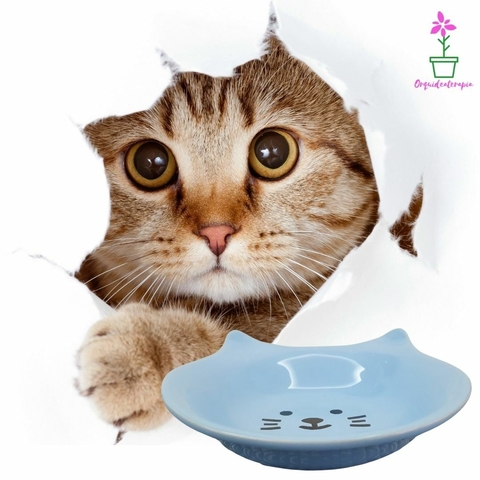 Comedouro Pratinho para Gatos Porcelana Azul desenho Gatinho Pet Cerâmica Burguina