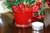 Vaso de Vidro Cil Vinho D6 A6 + velas - Orquideaterapia