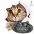 Comedouro Pratinho para Gatos Porcelana Preto desenho Gatinho Cerâmica Burguina Pet Bebedouro 