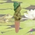 Sapinho, irrigador, pedra d'água, regador, vasos, planta, orquideaterapia. waterstone, waterring plant spike, Orquideaterapia, vasos orquideaterapia