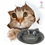 Comedouro Pratinho para Gatos Porcelana Preto desenho Gatinho Cerâmica Burguina Pet Bebedouro 