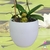 Sapinho, irrigador, pedra d'água, regador, vasos, planta, orquideaterapia. waterstone, waterring plant spike, Orquideaterapia, vasos orquideaterapia