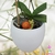 Sapinho, irrigador, pedra d'água, regador, vasos, planta, orquideaterapia. waterstone, waterring plant spike, Orquideaterapia, vasos orquideaterapia