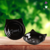 Comedouro Pratinho para Gatos Porcelana Preto desenho Gatinho Cerâmica Burguina Pet Bebedouro 