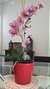 Vaso cachepô de cerâmica holandesa vermelho orquideaterapia