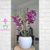 vaso cachepô cerâmica lorance branco d21 a18 orquideaterapia