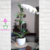 vaso-cachepô-cerâmica-lorance-branco-d15-a13-orquideaterapia