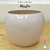 VASO LORANCE MARFIM D15 A13 - Orquideaterapia