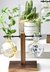 Vasos P/ Plantas Hidropônicas Suporte Vertical Decorativo Mod. Hor - Orquideaterapia