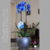 vaso-cachepô-cerâmica-lorance-prata-d15-a13-orquideaterapia