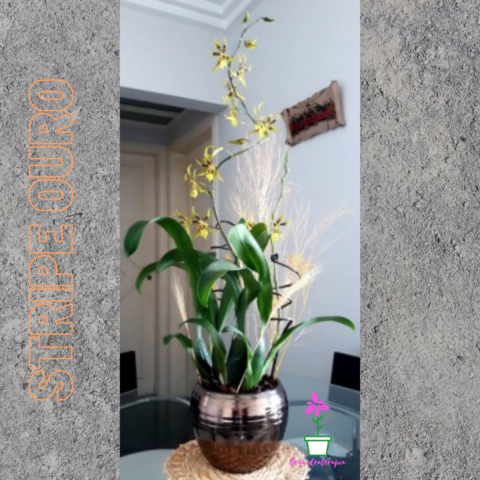 vaso-cachepô-cerâmica-lorance-stripe-ouro-d19-a15-orquideaterapia