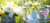 Banner rotativo 5